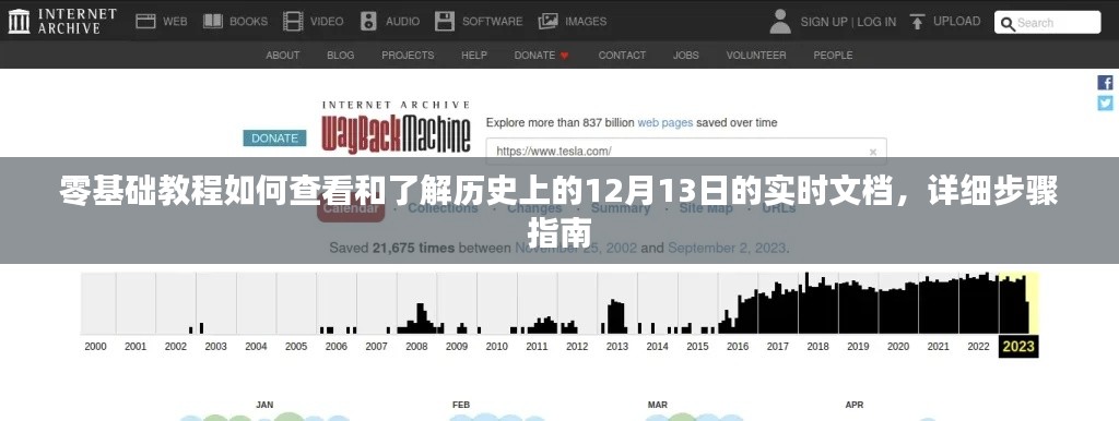 零基础教程,查看和了解历史上12月13日实时文档的详细步骤指南