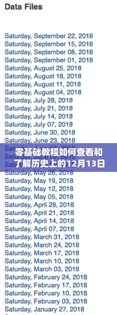 零基础教程,查看和了解历史上12月13日实时文档的详细步骤指南
