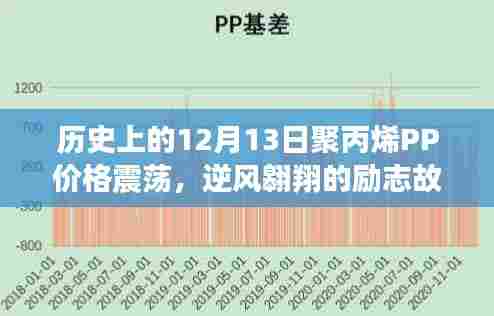 逆风翱翔,聚丙烯PP价格震荡中的励志故事与自信成就之路