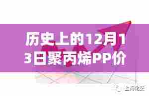 逆风翱翔，聚丙烯PP价格震荡中的励志故事与自信成就之路