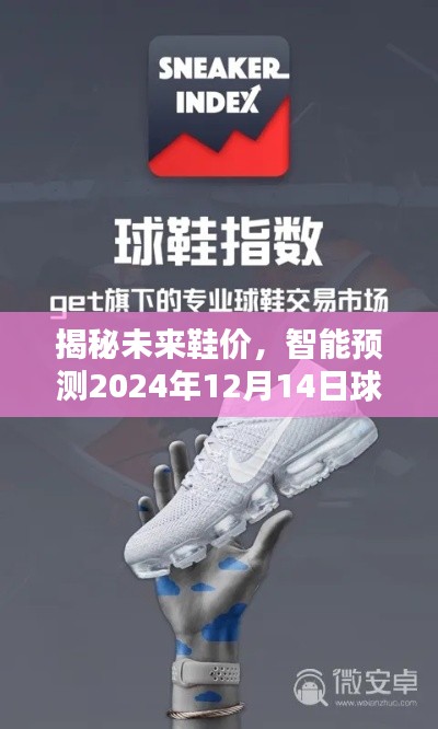 科技引领潮流鞋价新纪元，揭秘未来球鞋报价预测，2024年实时行情展望
