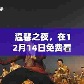 友情之夜，温馨综艺免费观看日，陪伴的奇妙时光