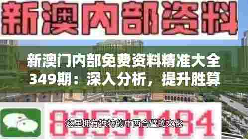 新澳门内部免费资料精准大全349期：深入分析，提升胜算