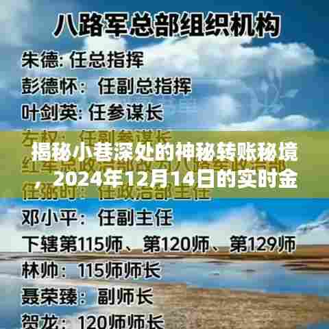 揭秘小巷深处的神秘转账秘境,实时金融奇谈(2024年12月14日)