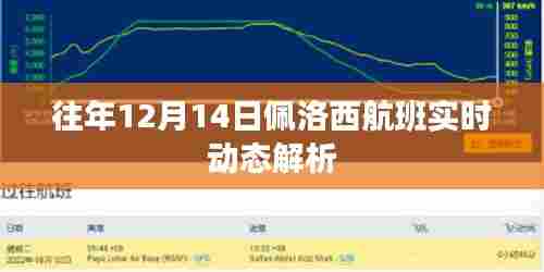 往年12月14日佩洛西航班实时动态解析