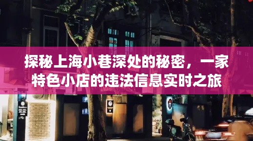 探秘上海小巷深处的秘密小店,违法信息实时之旅揭秘