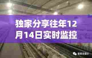 独家实拍,鸡舍成长见证,温馨养鸡现场图片分享(12月14日实时监控)