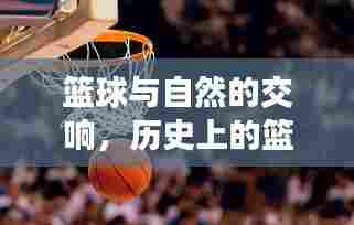 篮球与自然交响,寻找内心的宁静与盘口智慧之旅的篮球迷故事