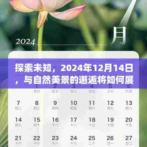 探索未知，自然美景的邂逅，2024年12月14日的奇妙之旅
