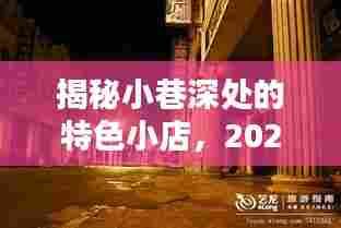 小巷深处的特色小店与虚拟币价格走势揭秘,2024年12月14日市场洞察