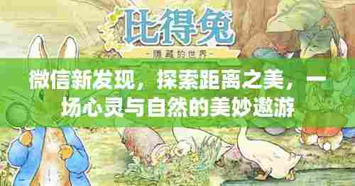 微信新发现，心灵与自然的距离之美探索之旅