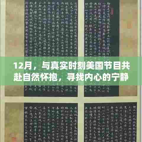 12月美国真实时刻自然之旅,探寻内心宁静的旅程