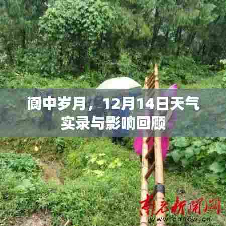 阆中岁月,12月14日天气实录及影响回顾