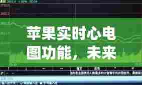 苹果实时心电图功能,未来趋势预测与影响(展望2024年)