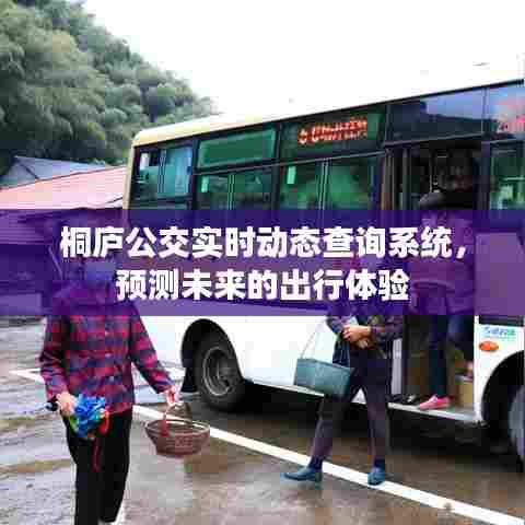 桐庐公交实时动态查询系统,未来出行体验的预测与展望