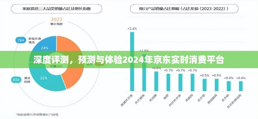 深度体验与预测，京东实时消费平台展望 2024年展望