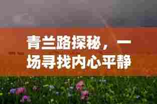 青兰路探秘之旅,寻找内心平静的旅程