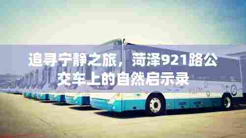 菏泽921路公交车,自然启示录的宁静之旅