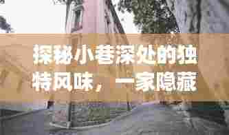 探秘小巷深处的独特风味,隐藏版特色小店的实时故事(2024)