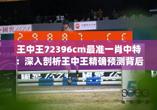 王中王72396cm最准一肖中特:深入剖析王中王精确预测背后的逻辑与技巧