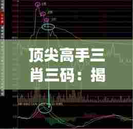 顶尖高手三肖三码:揭秘背后的深度策略与技巧