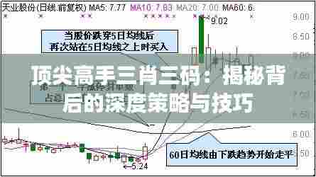 顶尖高手三肖三码:揭秘背后的深度策略与技巧