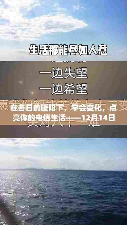 冬日的暖阳下的电信生活变革,实时话费充值指南与励志分享