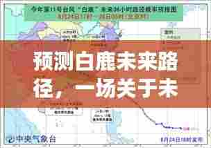 预测白鹿未来路径,思维碰撞展望未来发展