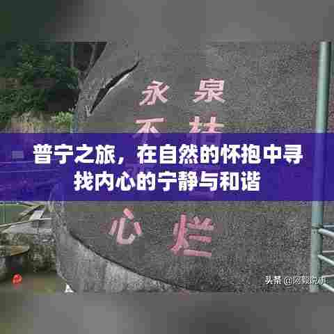 普宁之旅，自然怀抱中的内心宁静与和谐探索