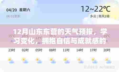 山东东营天气预报十二月变化与自信成就之旅