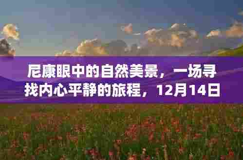 尼康眼中的自然奇迹,寻找内心平静的旅程见证时刻(12月14日)