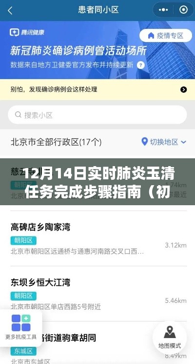 12月14日肺炎玉清任务完成指南,初学者与进阶用户适用