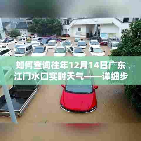查询往年广东江门水口实时天气(详细步骤指南)
