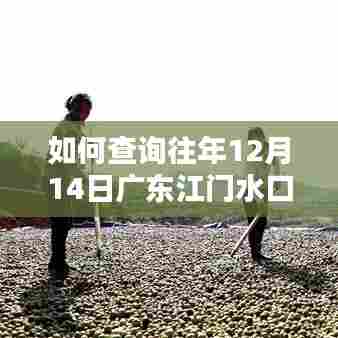 查询往年广东江门水口实时天气(详细步骤指南)