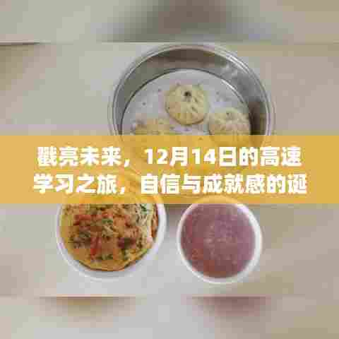 戳亮未来,12月14日高速学习之旅,自信与成就感的启航地