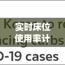 实时床位使用率计算详解,历史背景、发展脉络与重要性解读