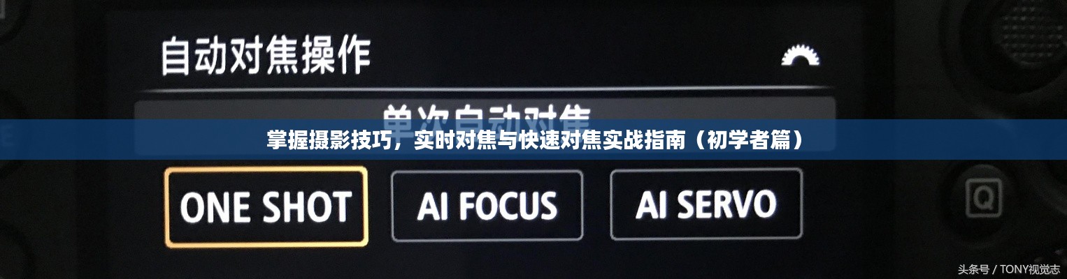 摄影技巧实战指南,掌握实时对焦与快速对焦(初学者必备)