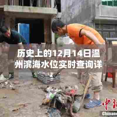 历史上的12月14日温州滨海水位实时查询详解,初学者与进阶用户操作指南全解析