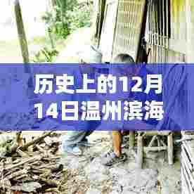 历史上的12月14日温州滨海水位实时查询详解,初学者与进阶用户操作指南全解析