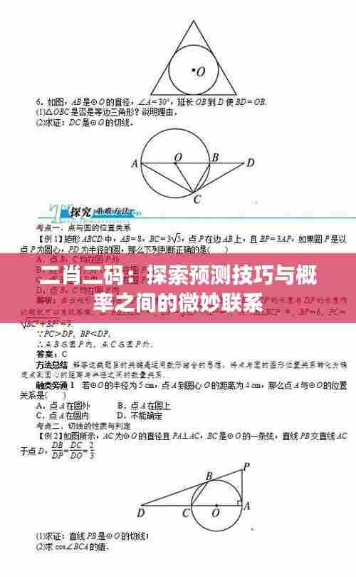 二肖二码:探索预测技巧与概率之间的微妙联系
