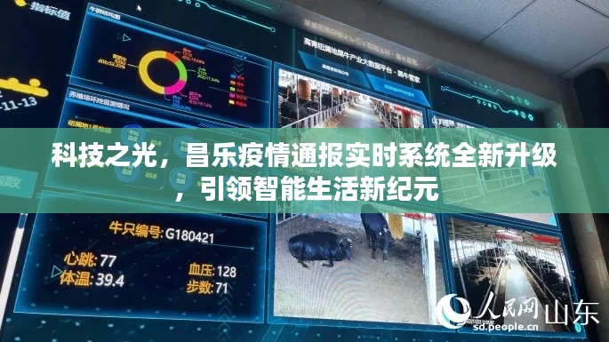 科技之光,昌乐疫情实时系统升级引领智能生活新纪元
