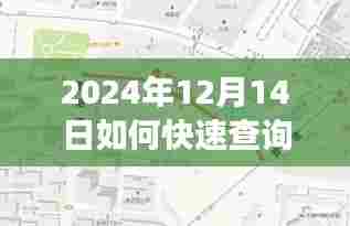 如何快速查询扬州实时公交信息(2024年12月14日指南)