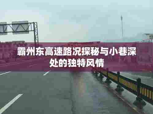 霸州东高速与小巷深处的风情探秘