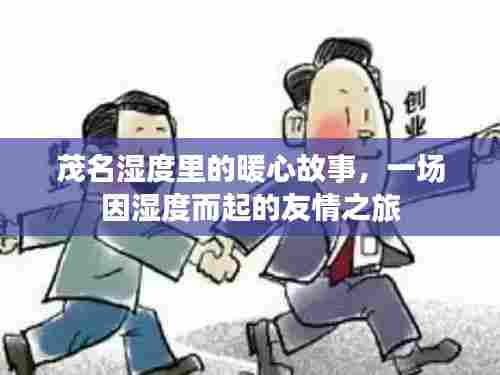 茂名湿度下的暖心故事,友情之旅的缘起