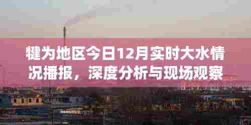 犍为地区今日实时大水情况播报,深度分析与现场观察(附视频)