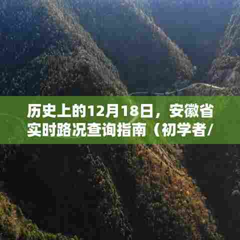 安徽省实时路况查询指南，历史12月18日路况查询初学者进阶用户适用攻略