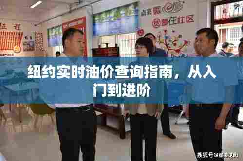 纽约油价查询指南，从新手到专家