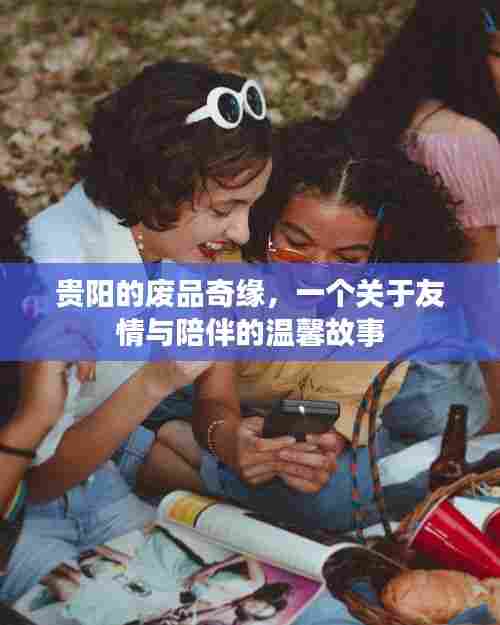 贵阳废品奇缘,友情与陪伴的温馨篇章