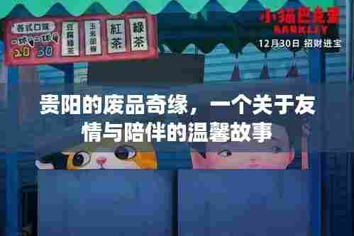 贵阳废品奇缘,友情与陪伴的温馨篇章