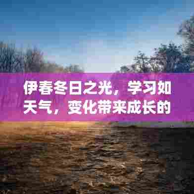 伊春冬日之光，学习中的成长力量与天气的变化同步前行